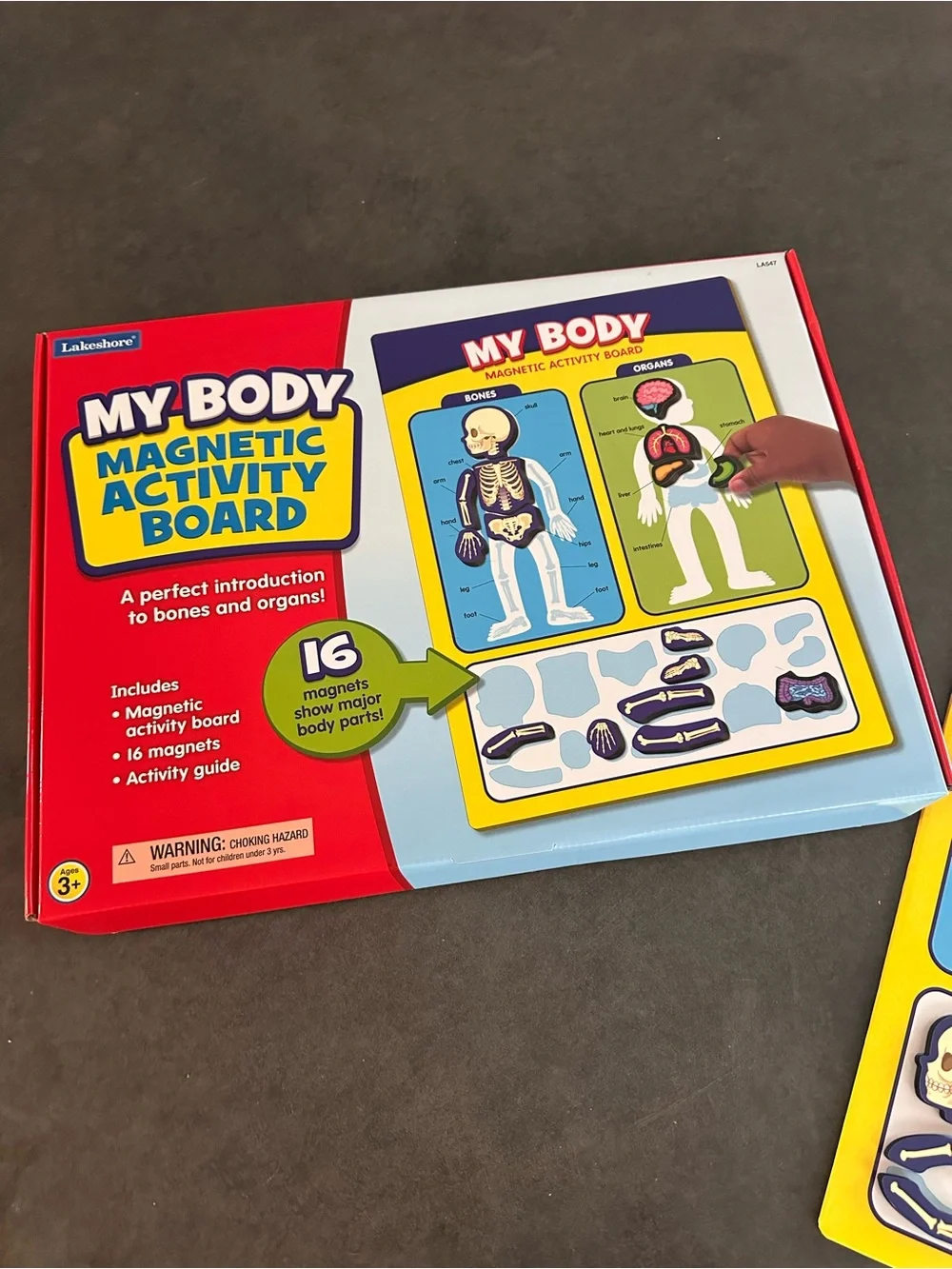 Lakeshore My Body Magnetic Activity Board